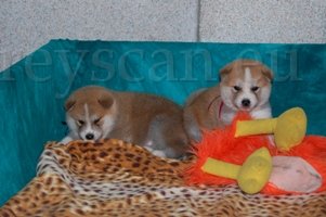 24 tady je to lepší.jpg